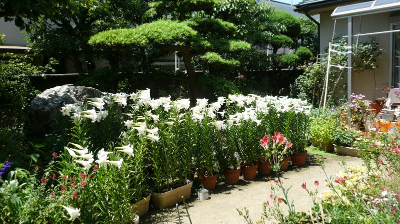 f:id:boianuf:20120607200255j:image