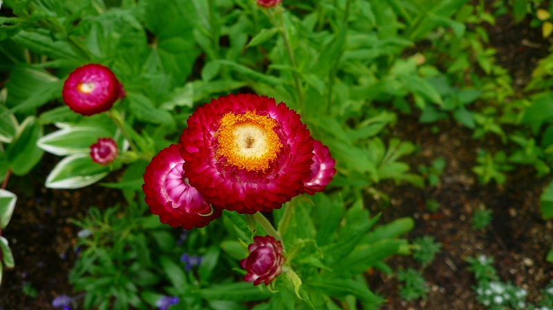 f:id:boianuf:20120618135820j:image