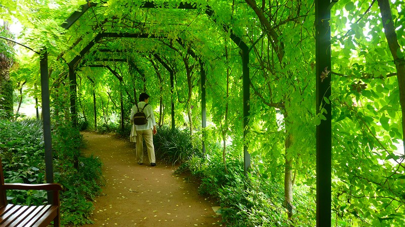 f:id:boianuf:20120618140046j:image