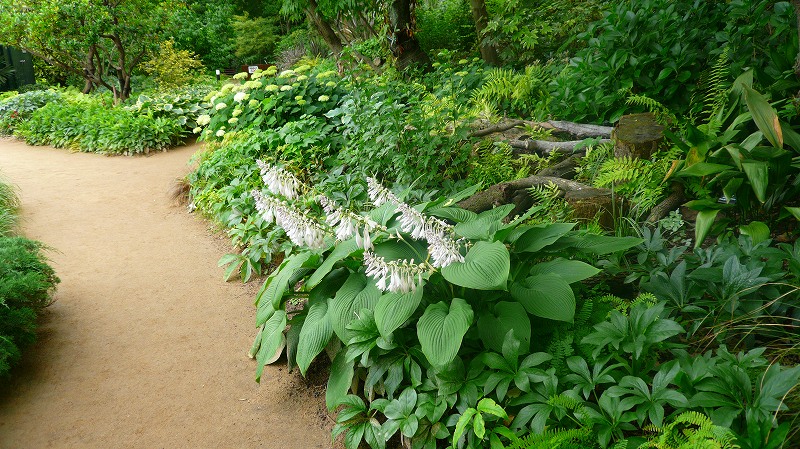 f:id:boianuf:20120618140047j:image