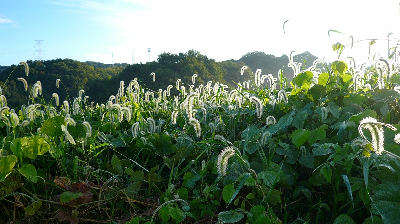 f:id:boianuf:20120925111241j:image