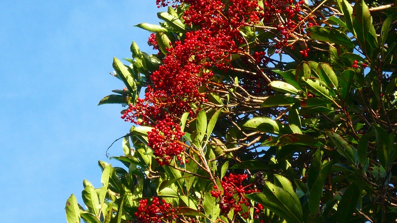 f:id:boianuf:20120925111420j:image