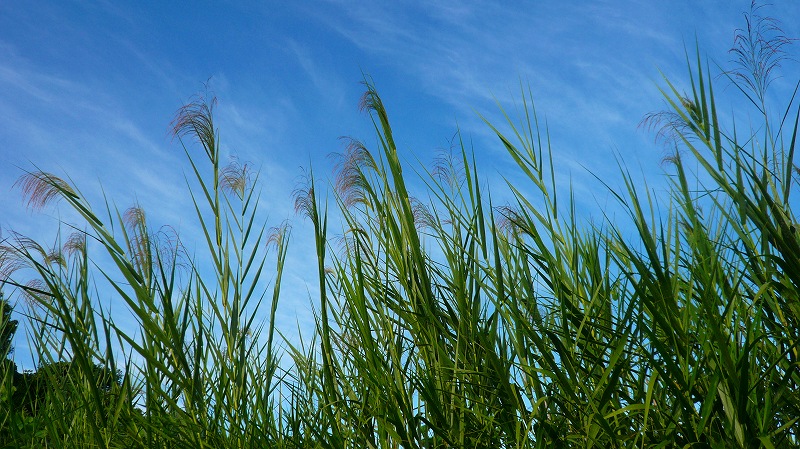 f:id:boianuf:20120925111546j:image