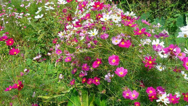 f:id:boianuf:20120929130429j:image