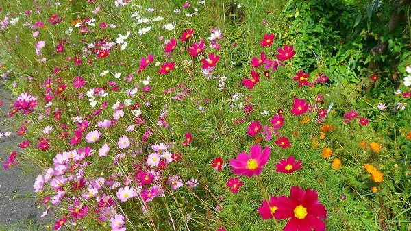 f:id:boianuf:20120929130430j:image