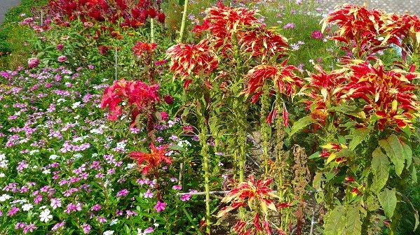 f:id:boianuf:20120929130431j:image