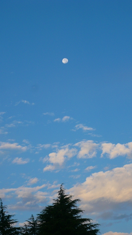 f:id:boianuf:20121005144802j:image