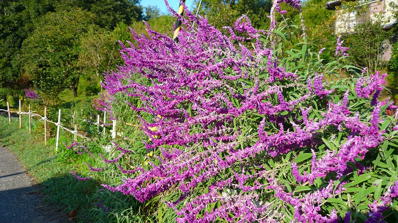 f:id:boianuf:20121005145009j:image