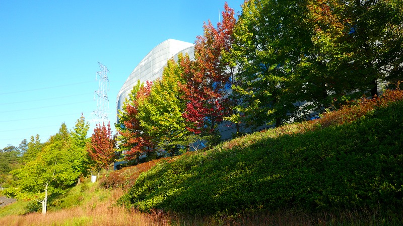 f:id:boianuf:20121019090806j:image