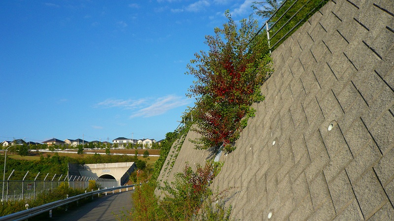 f:id:boianuf:20121020124114j:image