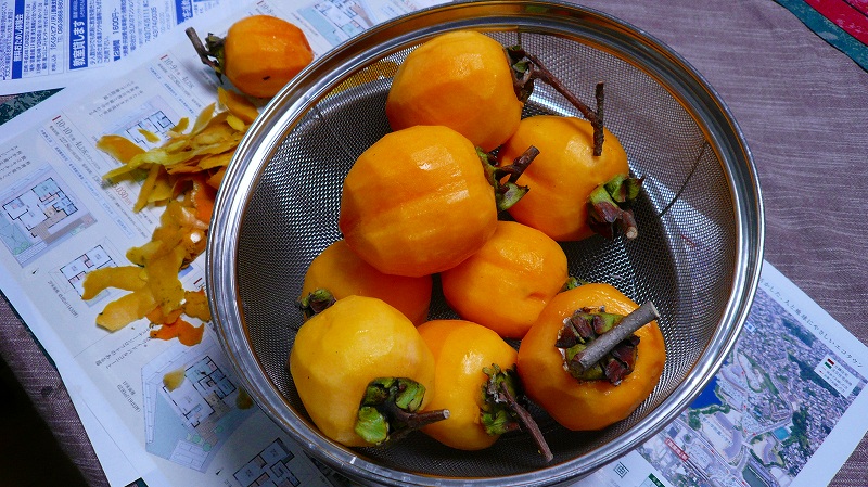 f:id:boianuf:20121020124233j:image