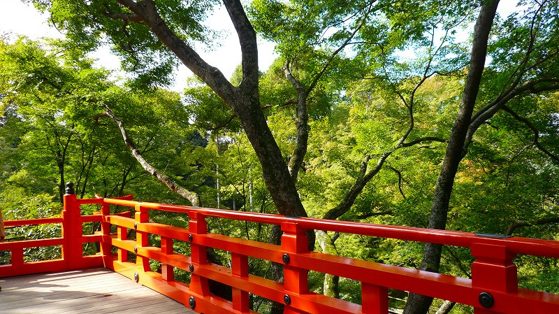 f:id:boianuf:20121026151642j:image f:id:boianuf:20121026151642j:image