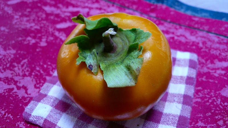 f:id:boianuf:20121030125302j:image