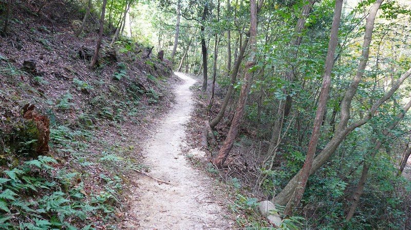 f:id:boianuf:20121104144624j:image