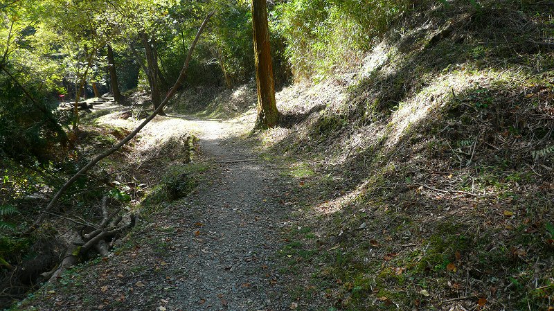 f:id:boianuf:20121104144625j:image