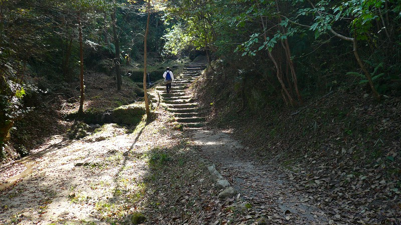 f:id:boianuf:20121104144630j:image