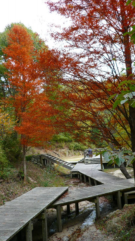 f:id:boianuf:20121104144739j:image