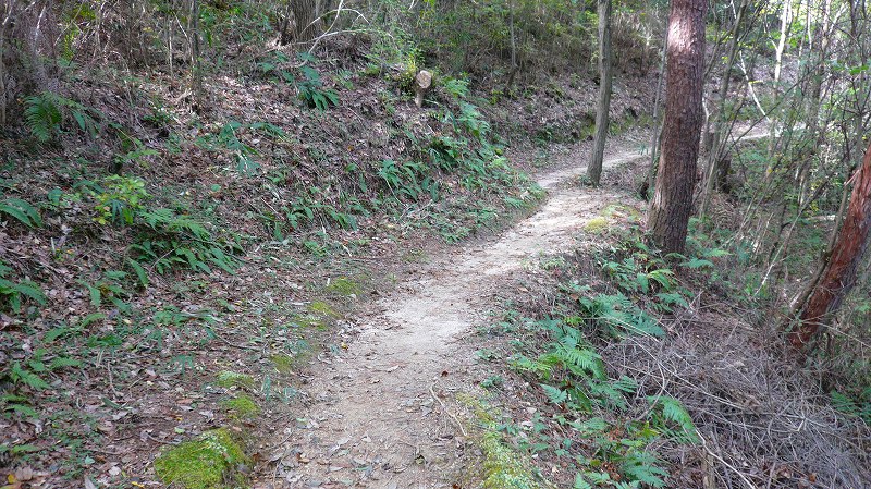 f:id:boianuf:20121104144742j:image