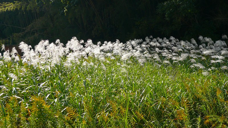 f:id:boianuf:20121107162002j:image f:id:boianuf:20121107162002j:image