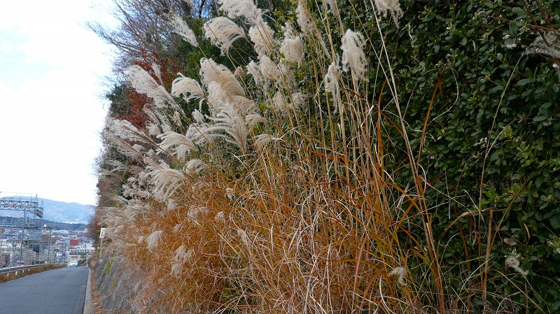 f:id:boianuf:20121224163458j:image