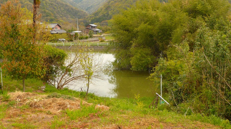 f:id:boianuf:20130620140758j:image