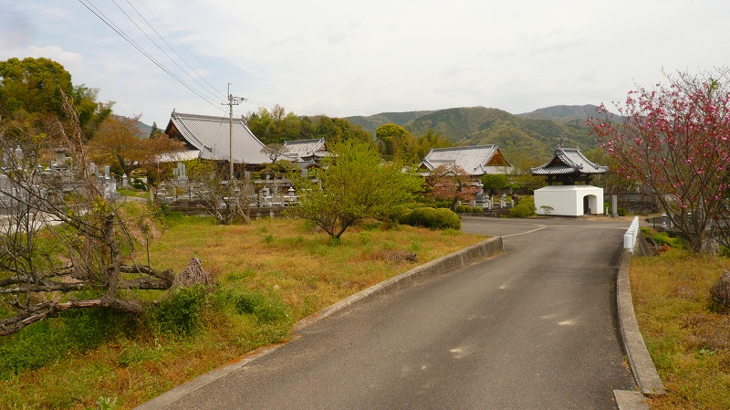 f:id:boianuf:20130620141142j:image