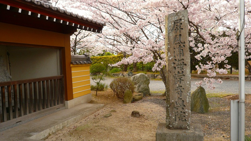 f:id:boianuf:20130629123820j:image