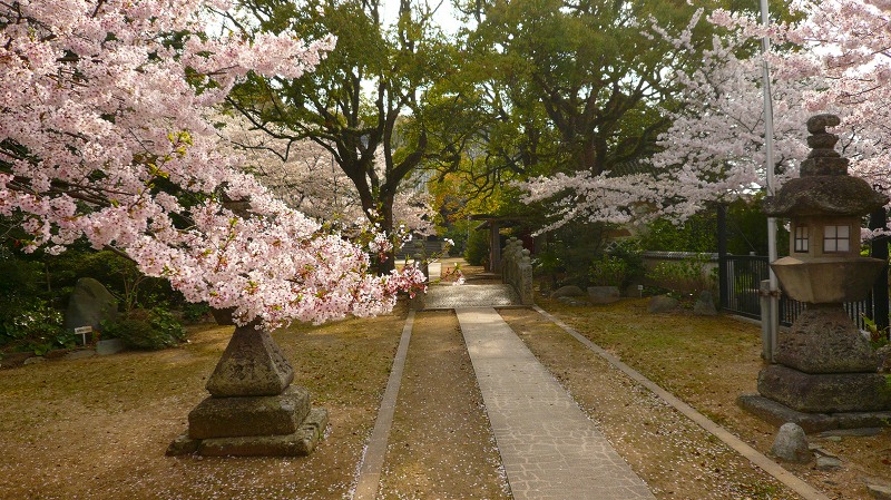 f:id:boianuf:20130629123822j:image