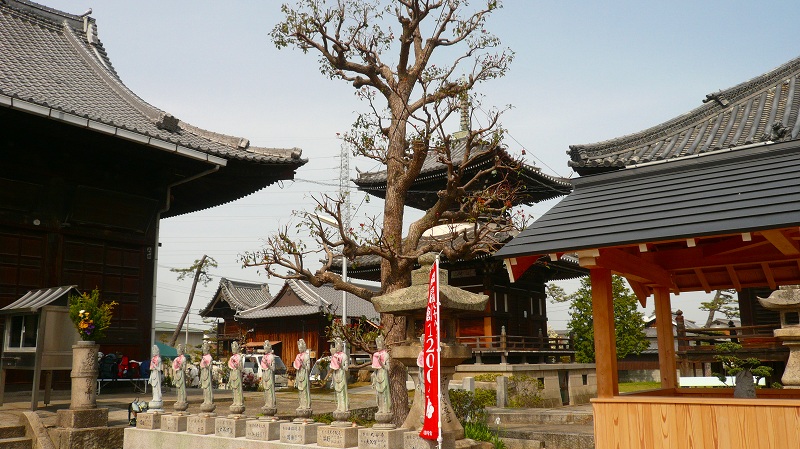 f:id:boianuf:20130629124304j:image