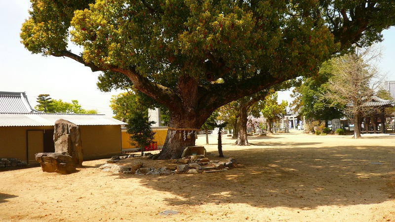 f:id:boianuf:20130629125130j:image