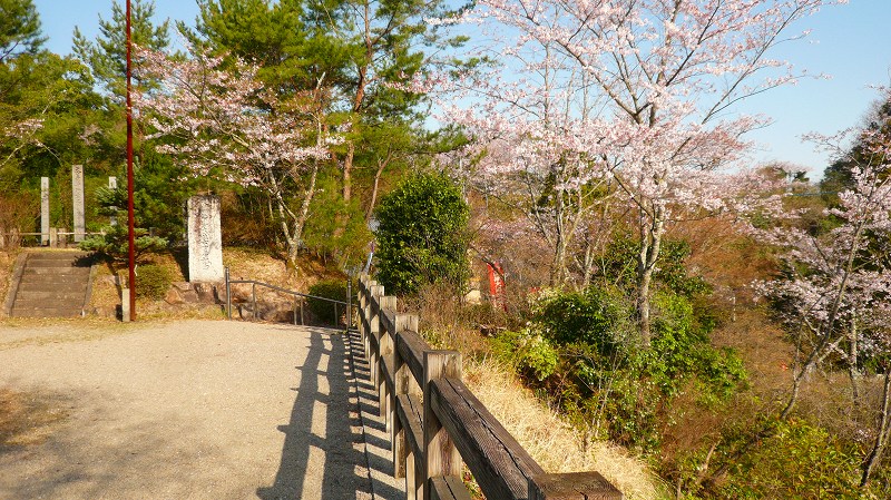 f:id:boianuf:20130629125911j:image