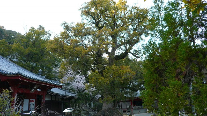 f:id:boianuf:20130630113614j:image f:id:boianuf:20130630113614j:image