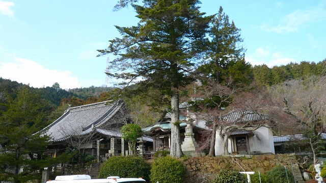 f:id:boianuf:20130702170210j:image
