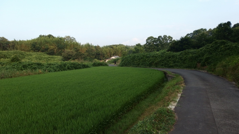 f:id:boianuf:20130805090123j:image