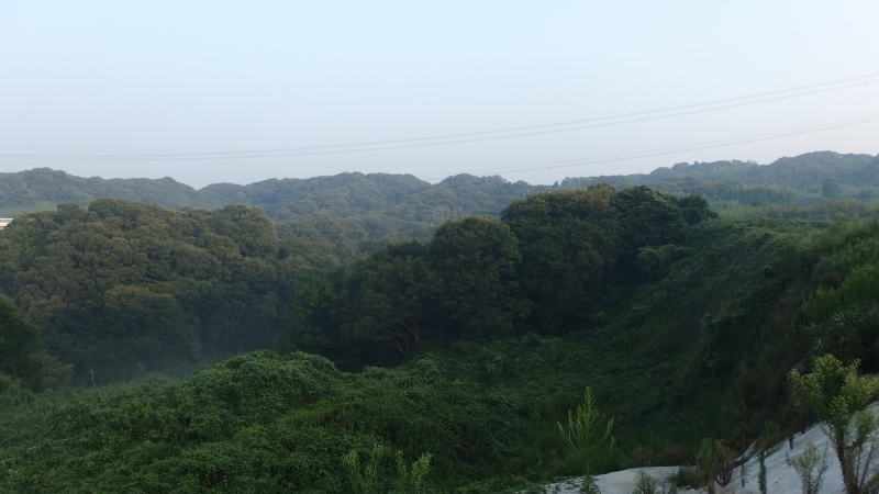 f:id:boianuf:20130811090434j:image