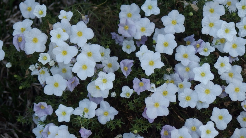 f:id:boianuf:20130811090435j:image