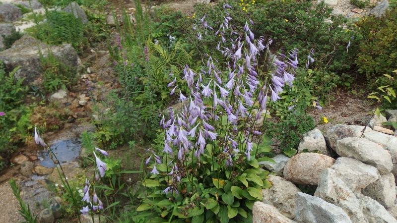 f:id:boianuf:20130824102124j:image