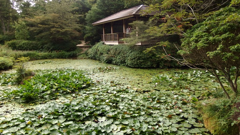 f:id:boianuf:20130824102125j:image
