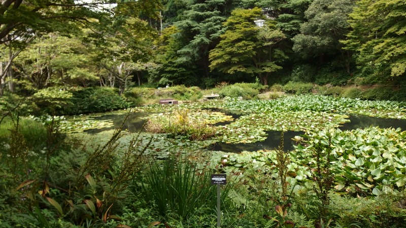 f:id:boianuf:20130824102128j:image