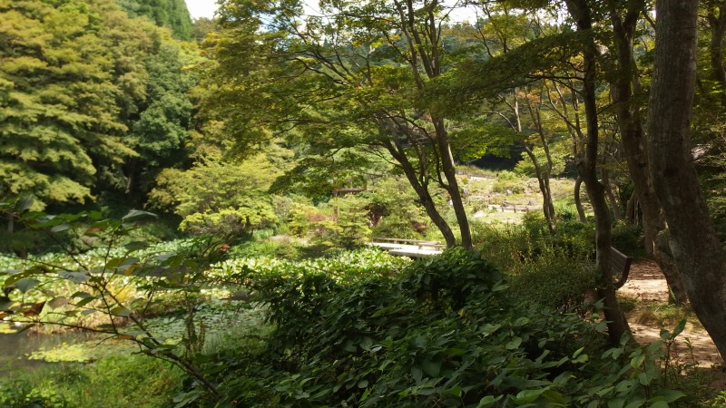 f:id:boianuf:20130824102131j:image