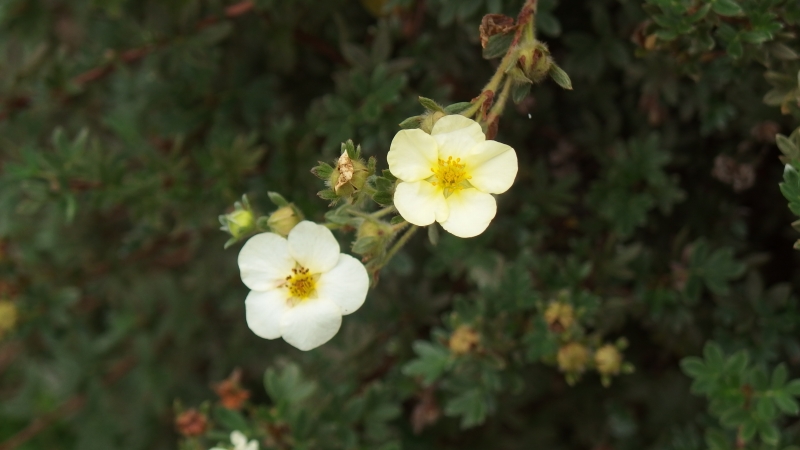 f:id:boianuf:20130824102527j:image