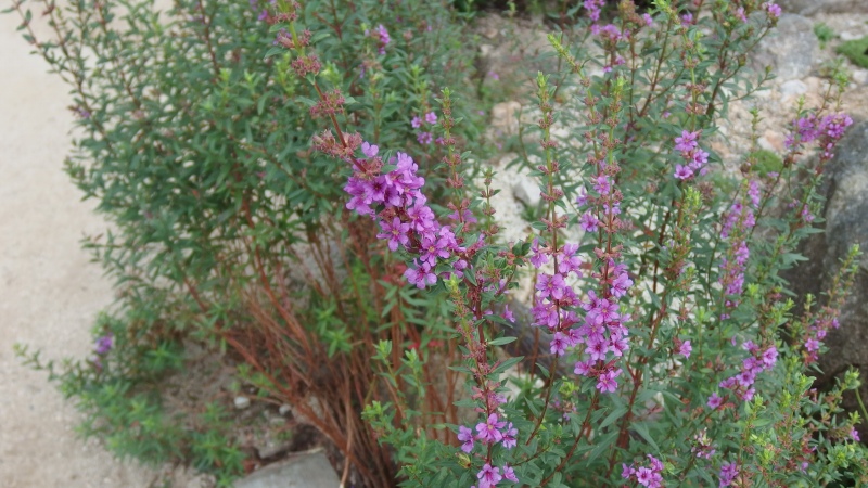 f:id:boianuf:20130824102533j:image