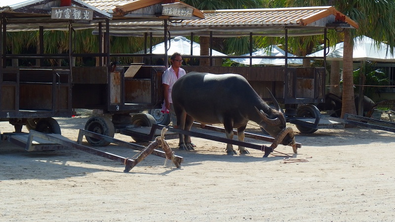 f:id:boianuf:20131002185638j:image