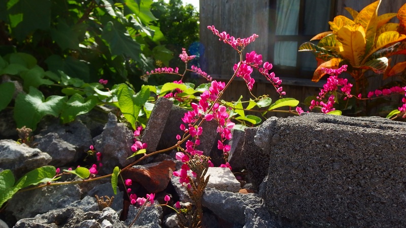 f:id:boianuf:20131002190148j:image