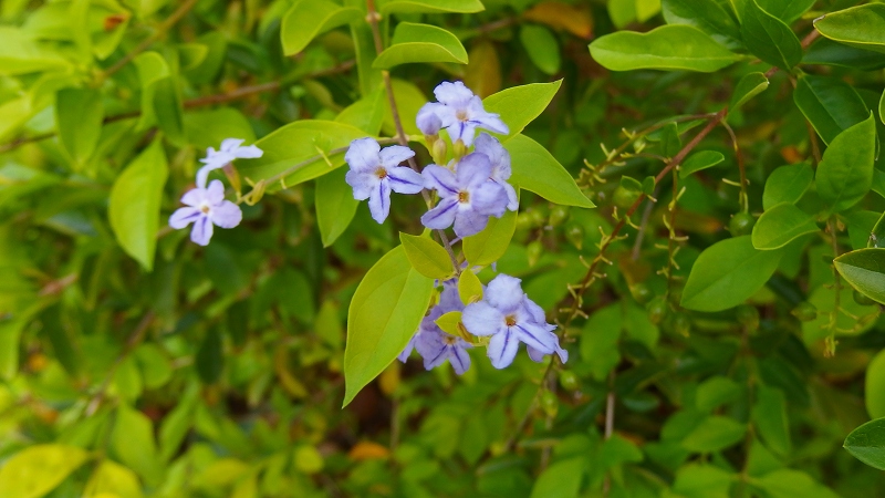 f:id:boianuf:20131003095926j:image