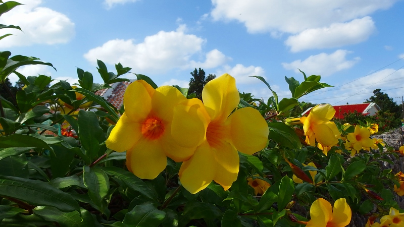 f:id:boianuf:20131003095927j:image