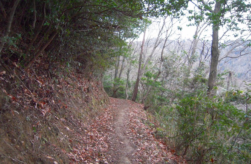 f:id:boianuf:20131012154548j:image