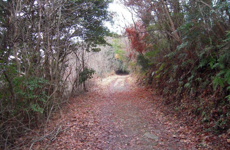f:id:boianuf:20131012154814j:image