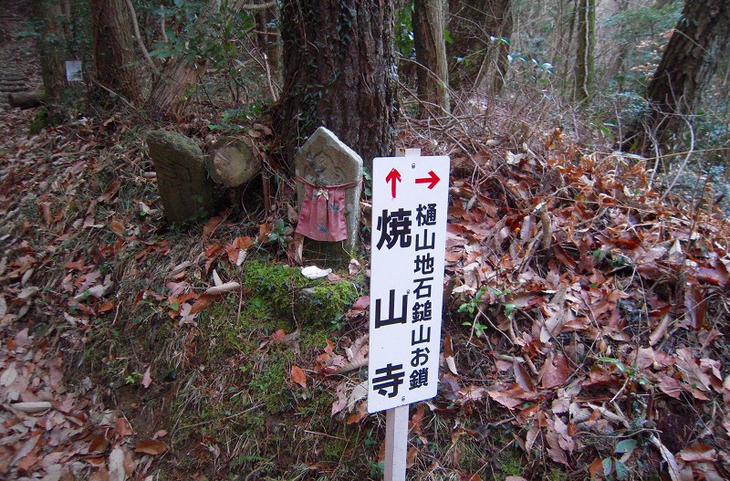f:id:boianuf:20131012154817j:image