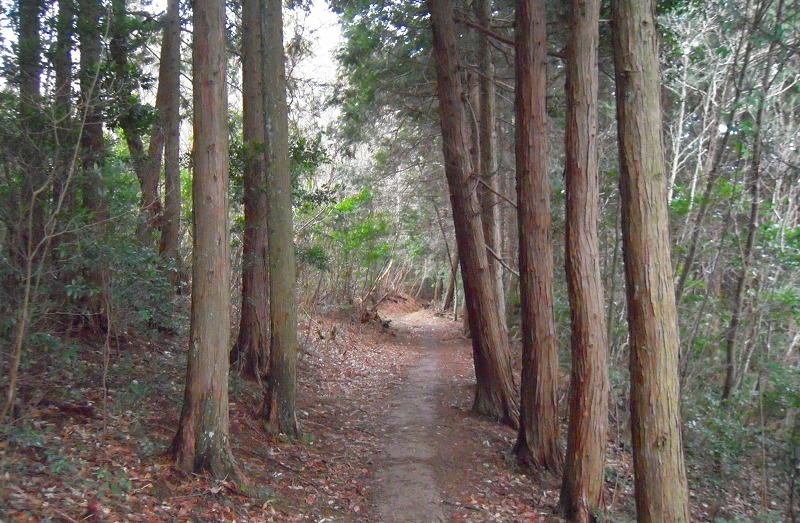 f:id:boianuf:20131012154818j:image